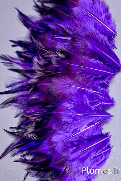 Coq - 5-10 cm - violet-café